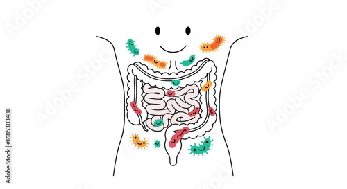 Understanding your inner world the gut microbiome and its impact on health