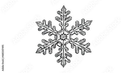 Intricate black and white snowflake design with symmetrical patterns. Vector retro hand drawn illustration