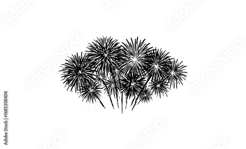 Silhouette of exploding fireworks in night sky with radiant patterns. Vector retro hand drawn illustration
