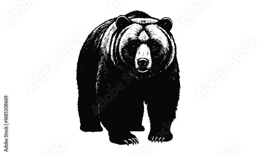 Black and white illustration of a grizzly bear standing. Vector retro hand drawn illustration