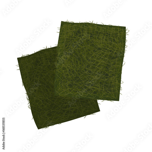 Vector Illustration Logo Clipart Gamtae Seaweed Sheets 