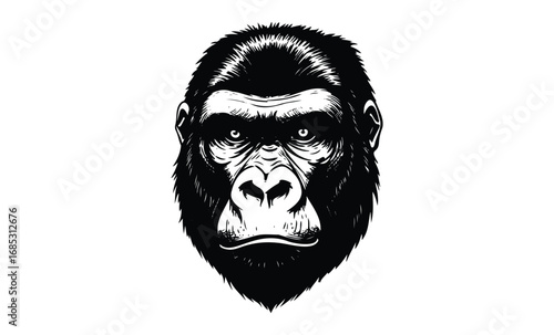 Detailed monochrome illustration of a gorilla face with intense expression. Vector retro hand drawn illustration