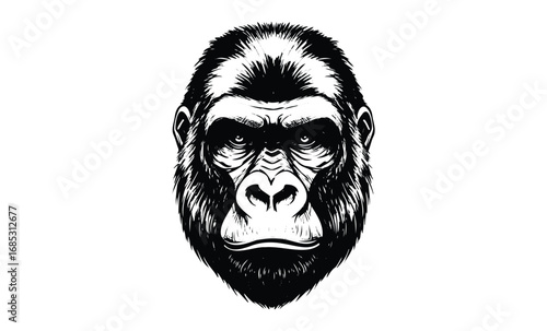 Detailed black and white gorilla head illustration with intense expression. Vector retro hand drawn illustration