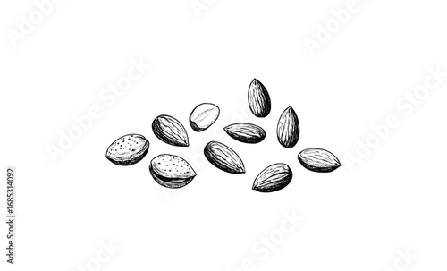 Hand-drawn almond nuts illustration. Vector retro hand drawn illustration