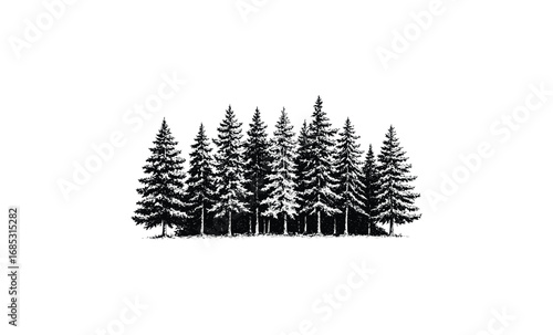 Black and white forest illustrating pine tree silhouette. Vector retro hand drawn illustration