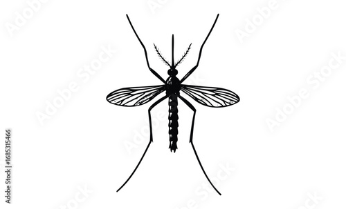 Silhouette of mosquito insect with detailed wings on. Vector retro hand drawn illustration