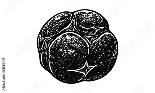 Vintage black and white sketch of a golf ball with detailed texture. Vector retro hand drawn illustration