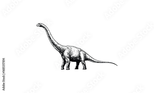 Detailed sketch of a brachiosaurus dinosaur in minimalist style. Vector retro hand drawn illustration