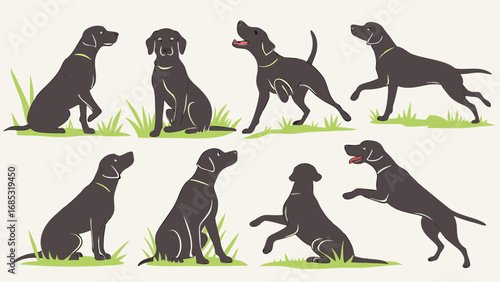 Black labrador retriever dogs vector art illustration set cute pets in various poses