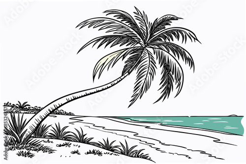 palm trees on the beach