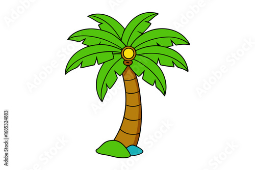 tropical palm tree