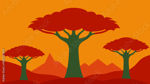 Ancient Socotra Dragon Blood Trees a Remarkable Botanical Wonder of Nature