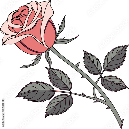 Single red rose with leafs with white background
