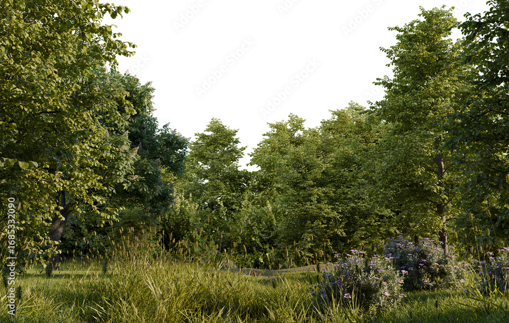 Obraz premium Lush forest scene, sunlight filtering through trees. Tranquil woodland path