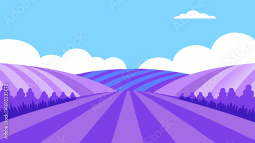 Vibrant Lavender Field Under Blue Sky Vector Illustration Rural Scene