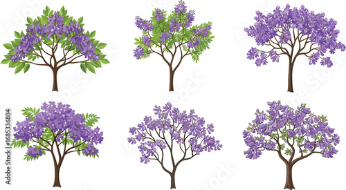 Stylized trees with purple flowers, botanical illustrations, hand-drawn flowering trees, garden and park clipart, natural spring bloom collection set