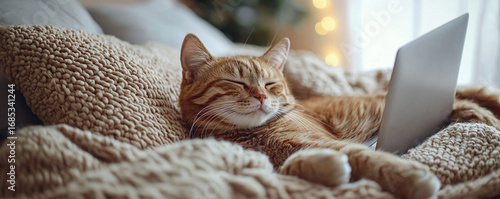 Cozy Ginger Cat Lounging on Soft Blanket Beside Laptop in a Relaxed Indoor Space