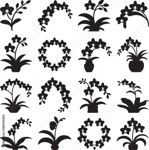 Black silhouette icons of orchid flowers in various arrangements floral botanical