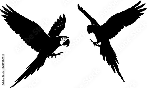 Macaw silhouette, Macaw svg, Macaw parrot silhouette, Parrot svg, Parrot silhouette, Flying macaw silhouette, Flying macaw 