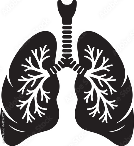 Human Lungs Anatomy Respiratory System Organ Vector Illustration for Medical Purposes