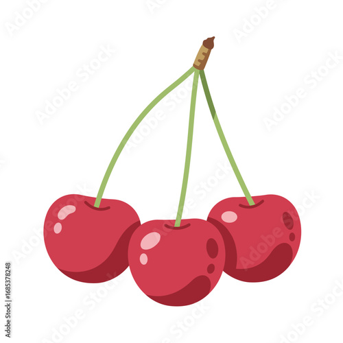 Three Ripe Red Cherries Hanging From Delicate Green Stems On A White Background