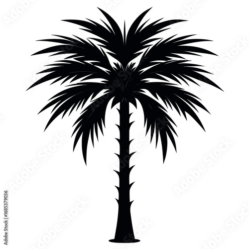 a-stark--graphic-silhouette-of-a-mature-palm-tree-.eps
