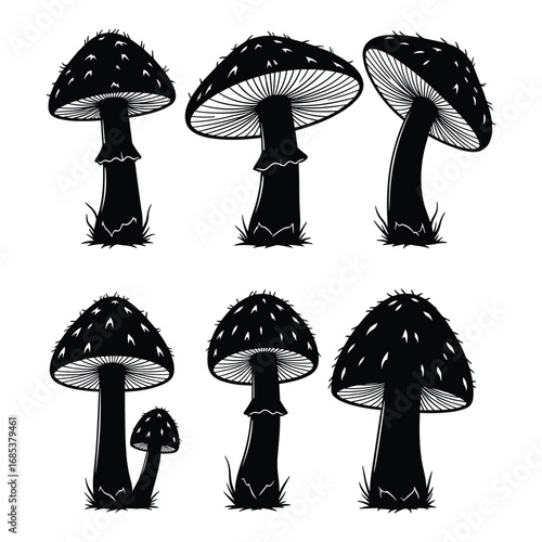 Six black silhouette mushrooms with detailed gills and textured caps on white background fungi