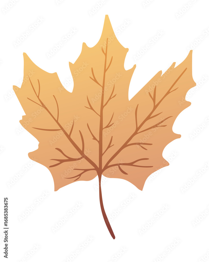 Obraz premium Vector autumn leaf isolated on white background