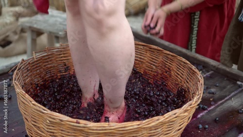 Wine Festival. A young Greek woman crushes grapes with her feet. Grape Foot Stomp. Traditional Grape treading, Wine production