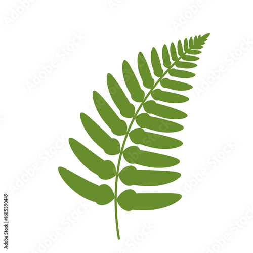 A single vibrant green fern frond with delicate leaflets elegantly unfurling against a clean white background