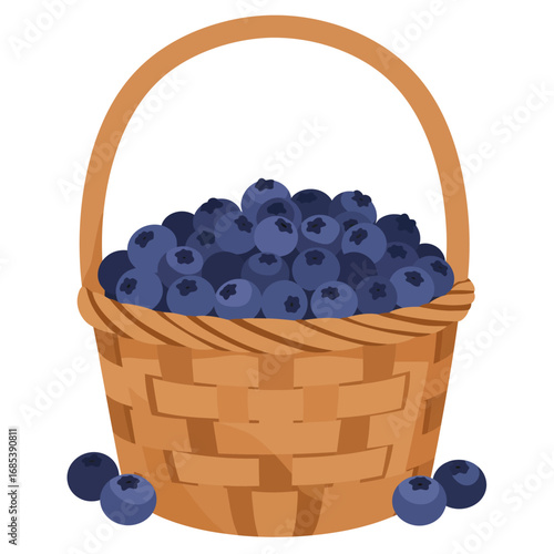 A woven wooden basket overflowing with ripe fresh blueberries a healthy and delicious summer fruit isolated on white