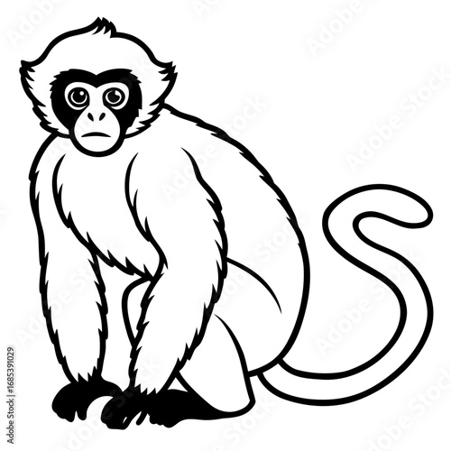 Silvery gibbon line art vector