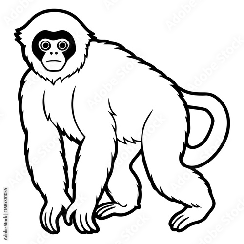 Silvery gibbon line art vector