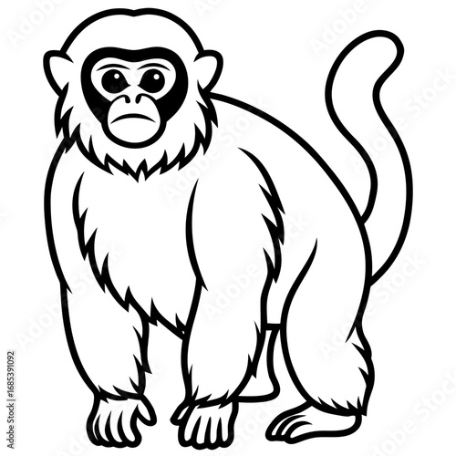 Silvery gibbon line art vector