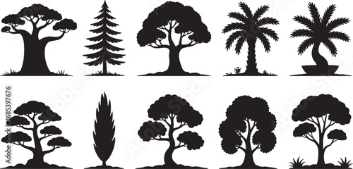 Diverse Tree Silhouettes Collection Broadleaf Evergreen Conifer Palm Isolated on Transparent Backdrop