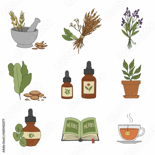 Hand-drawn collection of herbal medicine elements, including essential oils, plants, tea, and botanical remedies for natural health and wellness.