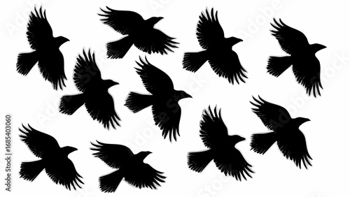 A group of black ravens are flying in different directions against a white color background in the sky