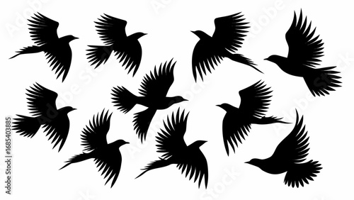 Silhouette of eleven birds in flight with wings spread against a white background in a dynamic arrangement