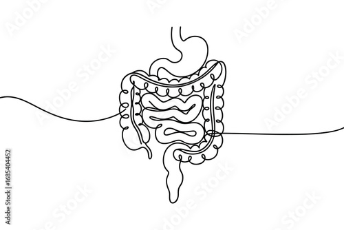 Minimalist line art of the human digestive system