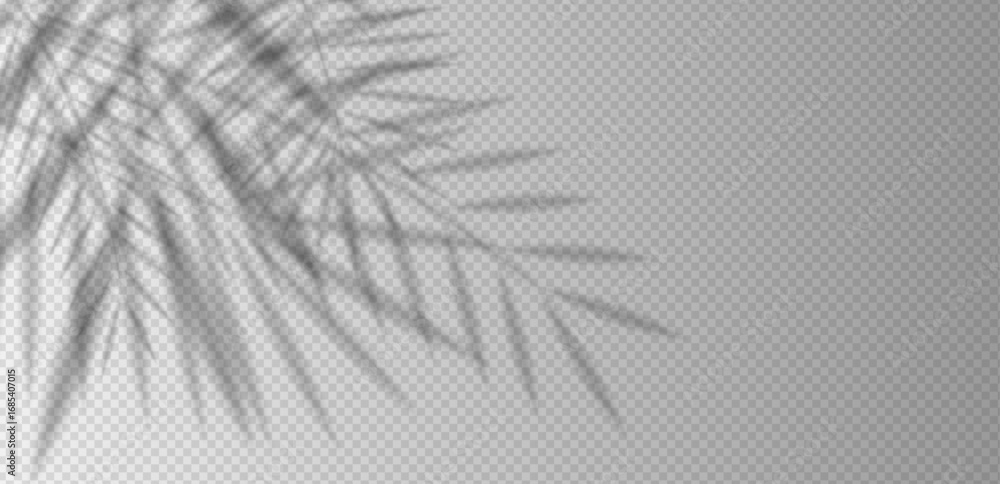 Fototapeta premium Palm leaf shadow overlay with tropical foliage silhouettes and sunlight reflection on white wall. Realistic vector background for summer scene, product mockup, exotic design or natural template.