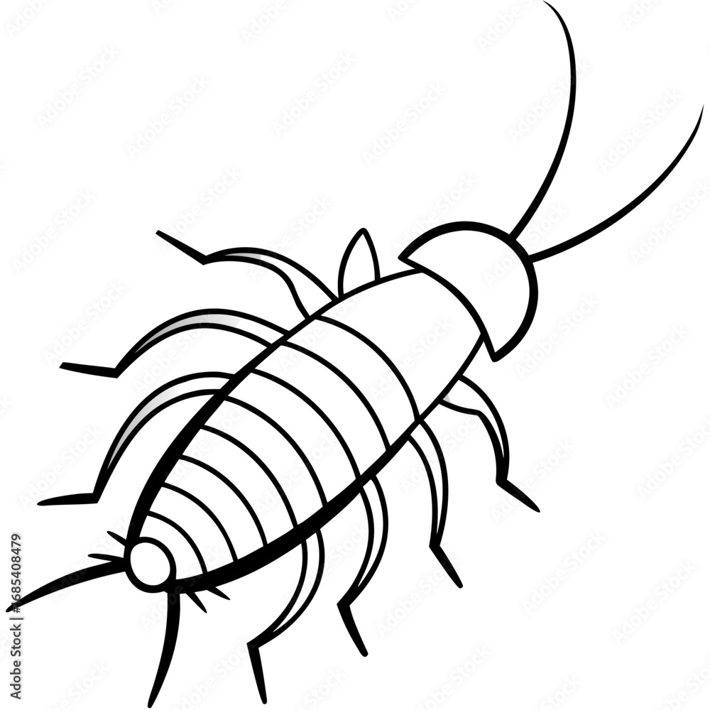 Obraz premium Silverfish line art vector
