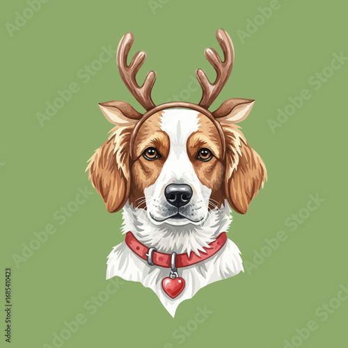 Festive dog portrait;  brown and white canine wearing reindeer antlers.