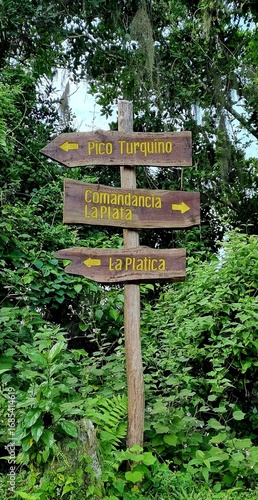 Sierra Maestra
