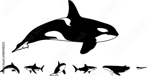 Orca Whale Silhouette Vector Art: Killer Whale Icon Set Graphics