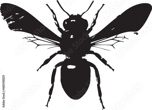 Bee Silhouette with Spread Wings and Segmented Body Viewed from Above
