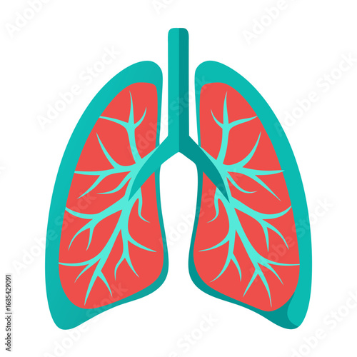 Human Lungs Anatomy Flat Icon