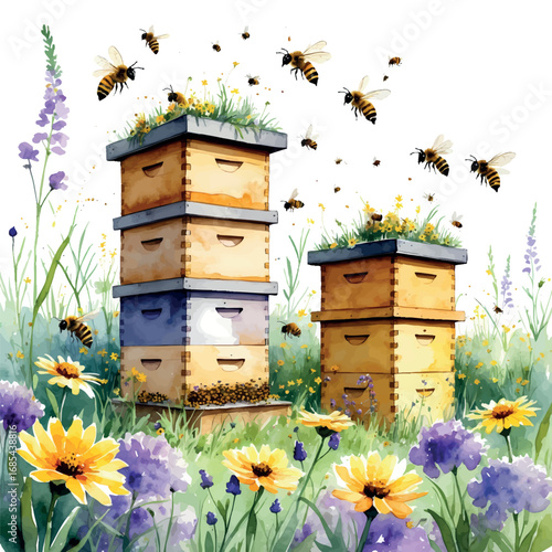 Beehives in Flowering Meadow Watercolor. Apiculture Scene with Yellow and Purple Wildflowers, Organic Honey Farming Illustration
