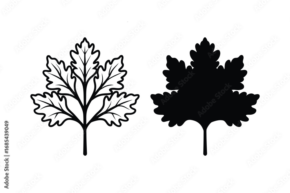 Fototapeta premium black and white oak tree leaves in outline and silhouette on white background