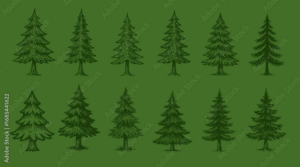Fototapeta premium Hand drawn christmas illustration collection - Pine tree