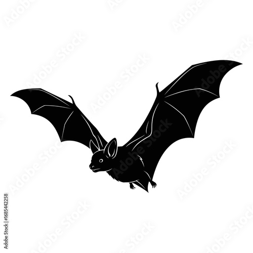 Silhouette of a bat flying with wings spread wide on white background
